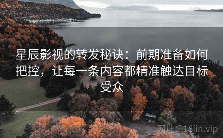 星辰影视的转发秘诀：前期准备如何把控，让每一条内容都精准触达目标受众